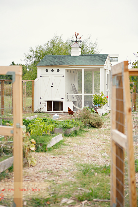  vintage and metal chicken coop signs on our Chicken Coop Sign Page