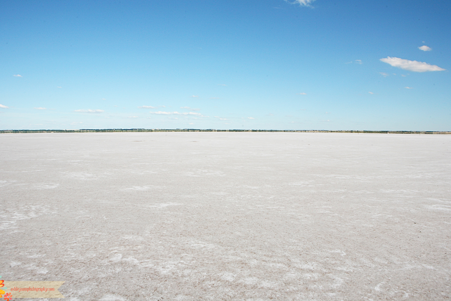 Explore OK {Salt Plains National Wildlife Refuge