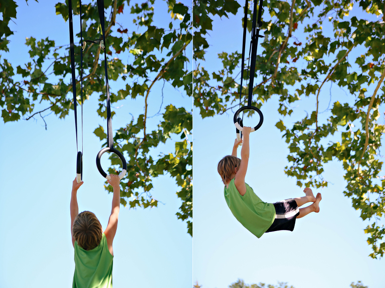 swinging from a tree »