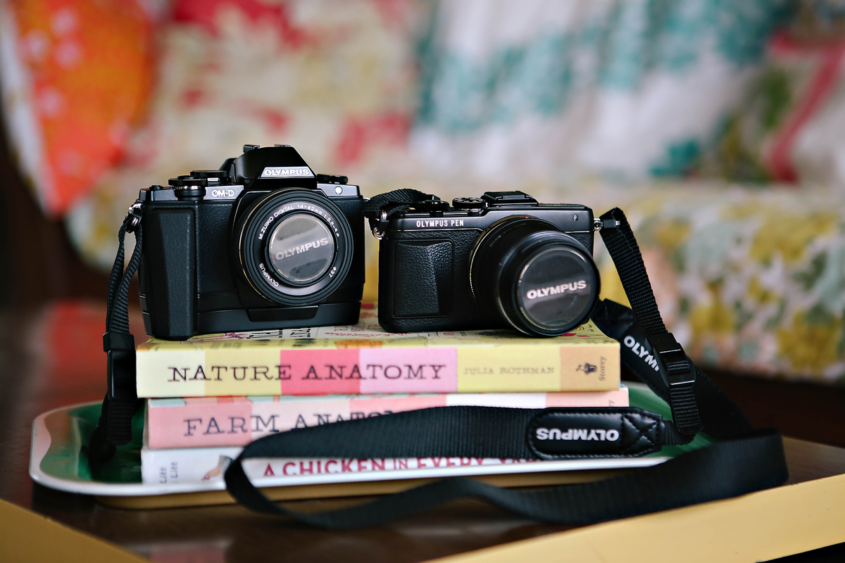 experimenting with Olympus mirrorless cameras »